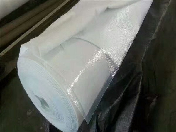 環(huán)保型復(fù)合土工膜 廠(chǎng)家發(fā)貨質(zhì)量可靠