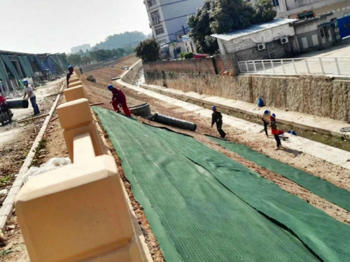 抗沖生物毯護(hù)坡工程